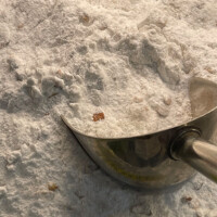 Turkish Dried Apple Tea Powder