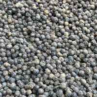 black pepper buy
