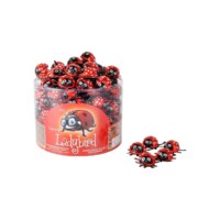 Elvan Ladybird Milky Compound Chocolate with Hazelnut Cream in Box 8 gr (0.28oz) - 100 Pieces